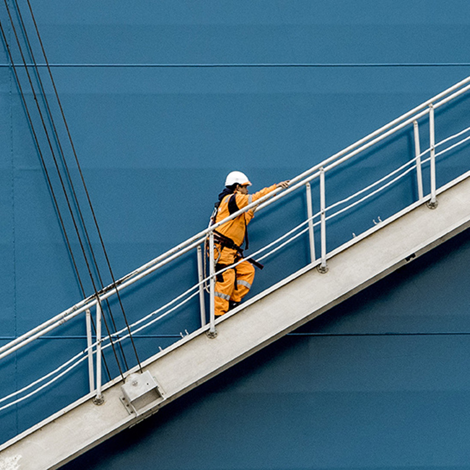 TFG Marine careers