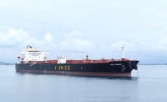 2021 TFG Marine Cielo Bianco