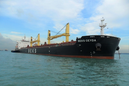 TFG Marine supplies first delivery of carbon offset bio-blend bunker fuel to Western Bulk